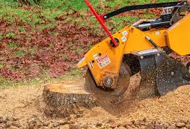 How Our Tree Care Process Works  in  Morrisville, PA