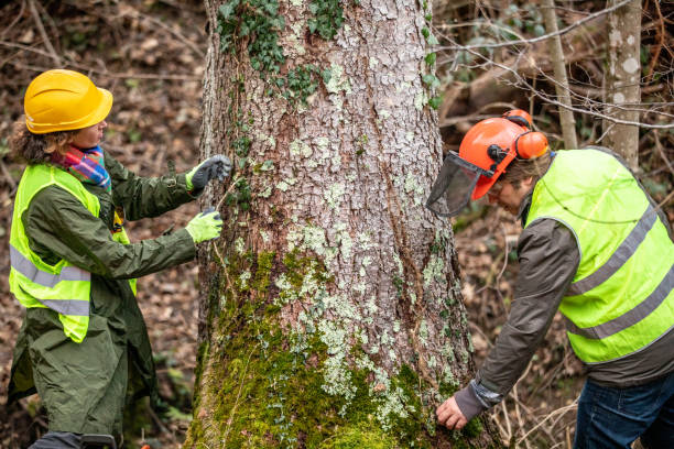 Best Tree Preservation Services  in Morrisville, PA